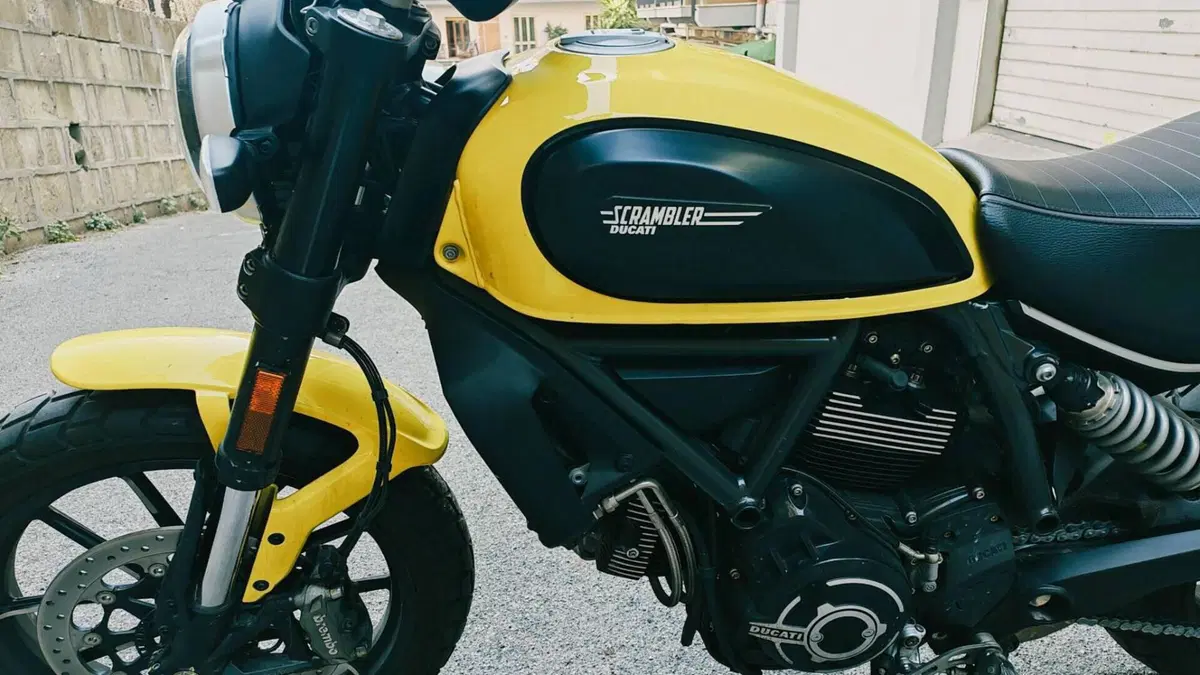 Ducati Scrambler 800 Icon (2021 - 22)  (11)