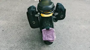 Ducati Scrambler 800 Icon (2021 - 22)  (16)