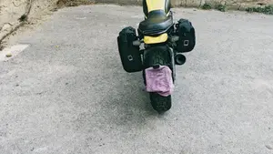 Ducati Scrambler 800 Icon (2021 - 22)  (18)
