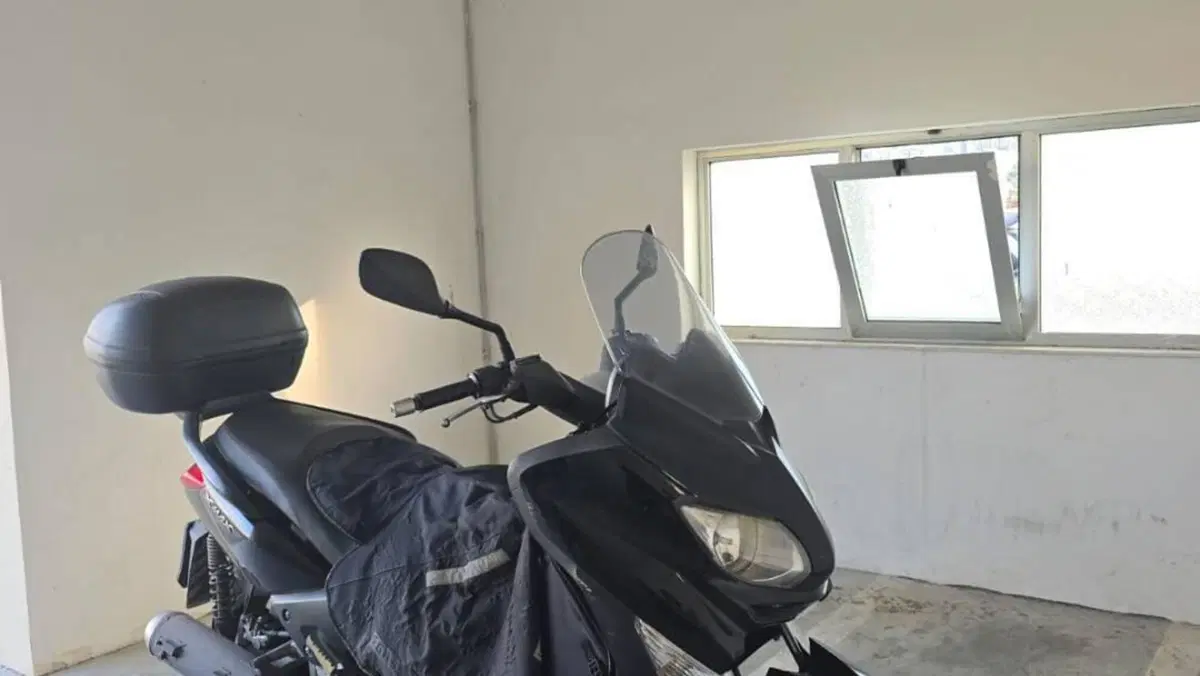 Yamaha X-Max 250 (2010 - 13)  (11)