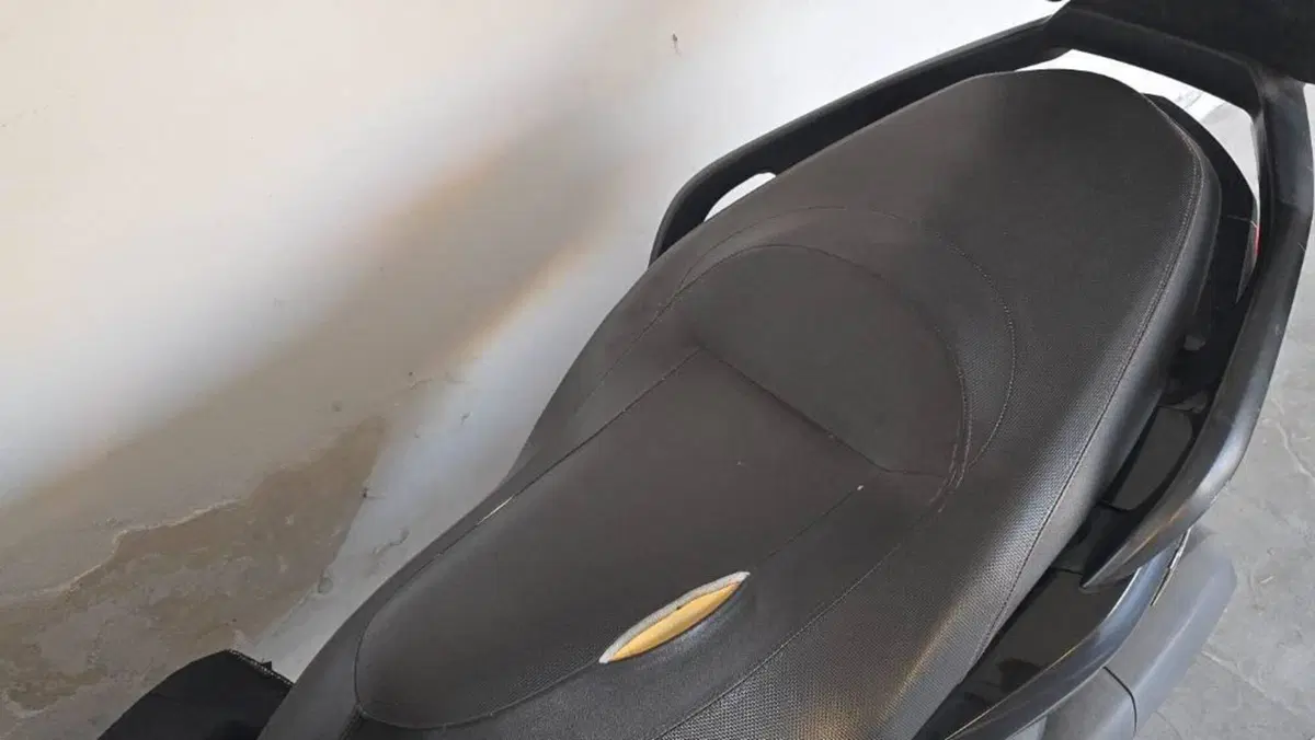 Yamaha X-Max 250 (2010 - 13)  (16)