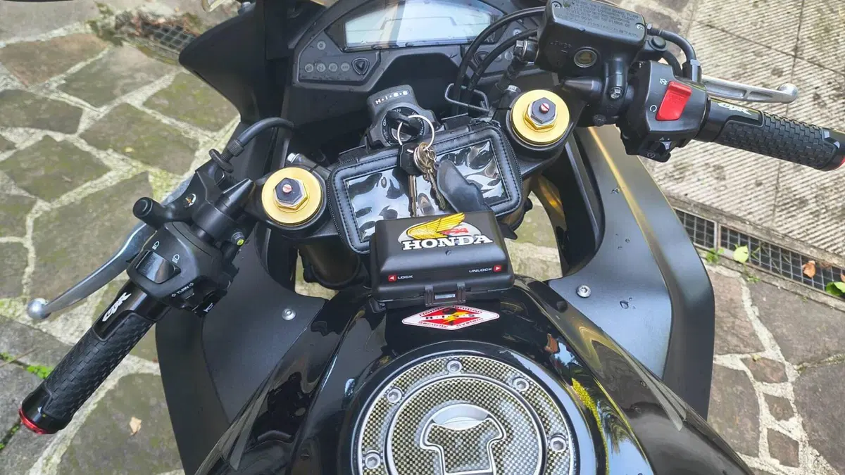 Honda CBR 600 F (2011 - 13)  (4)
