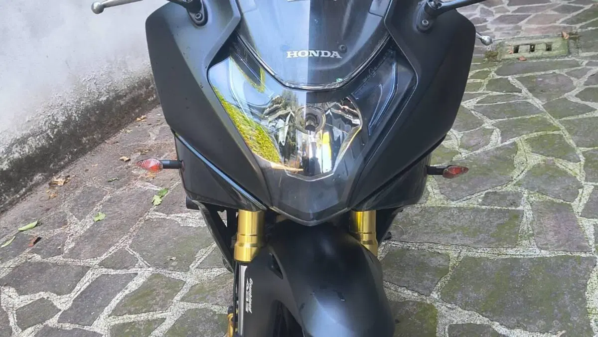 Honda CBR 600 F (2011 - 13)  (5)