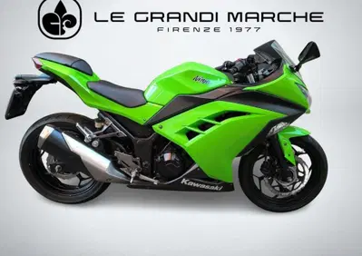 Kawasaki Ninja 300 (2012 - 14) - Annuncio 10124714