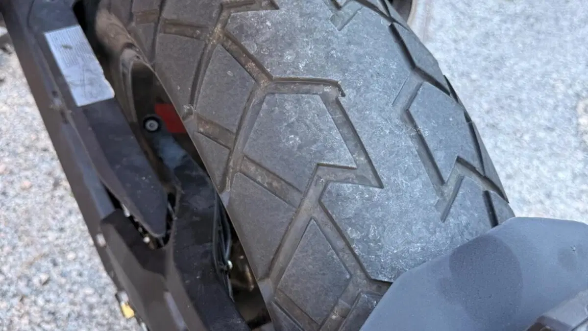 Ducati Scrambler 800 Icon (2023 - 24)  (6)