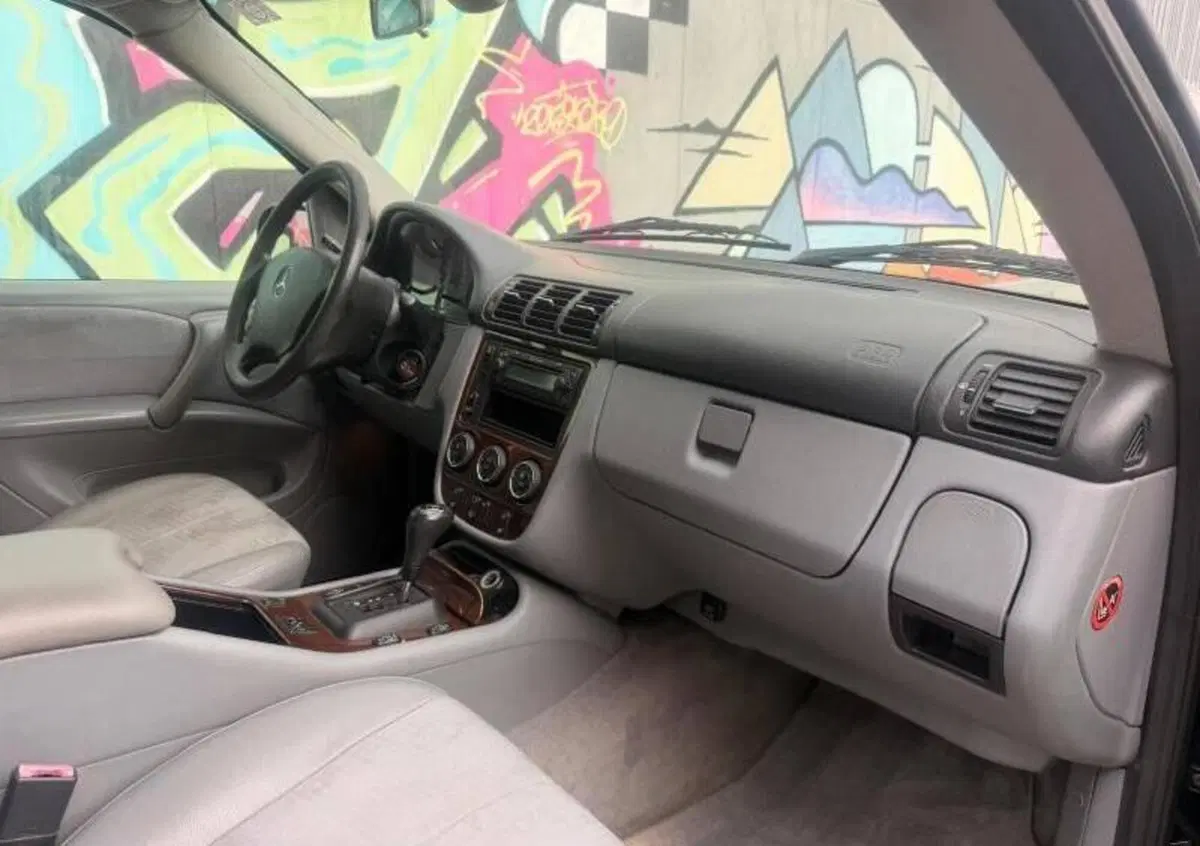 Mercedes-Benz Classe ML 270 turbodiesel cat CDI (12)