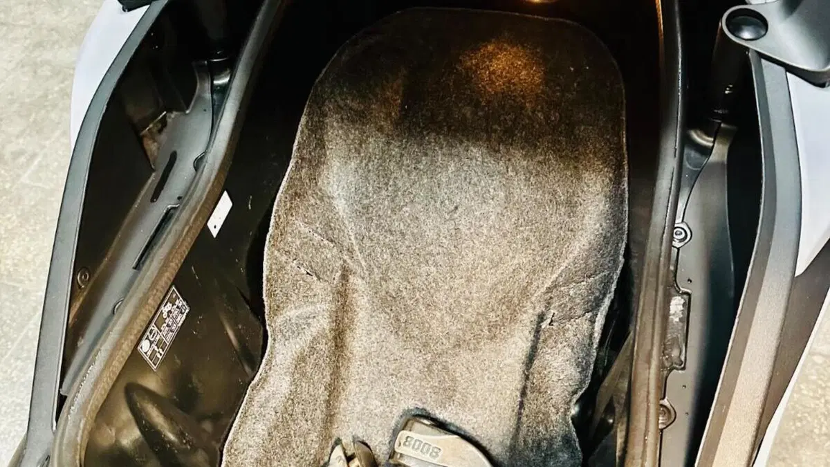 Yamaha T-Max 560 (2020 - 21)  (8)