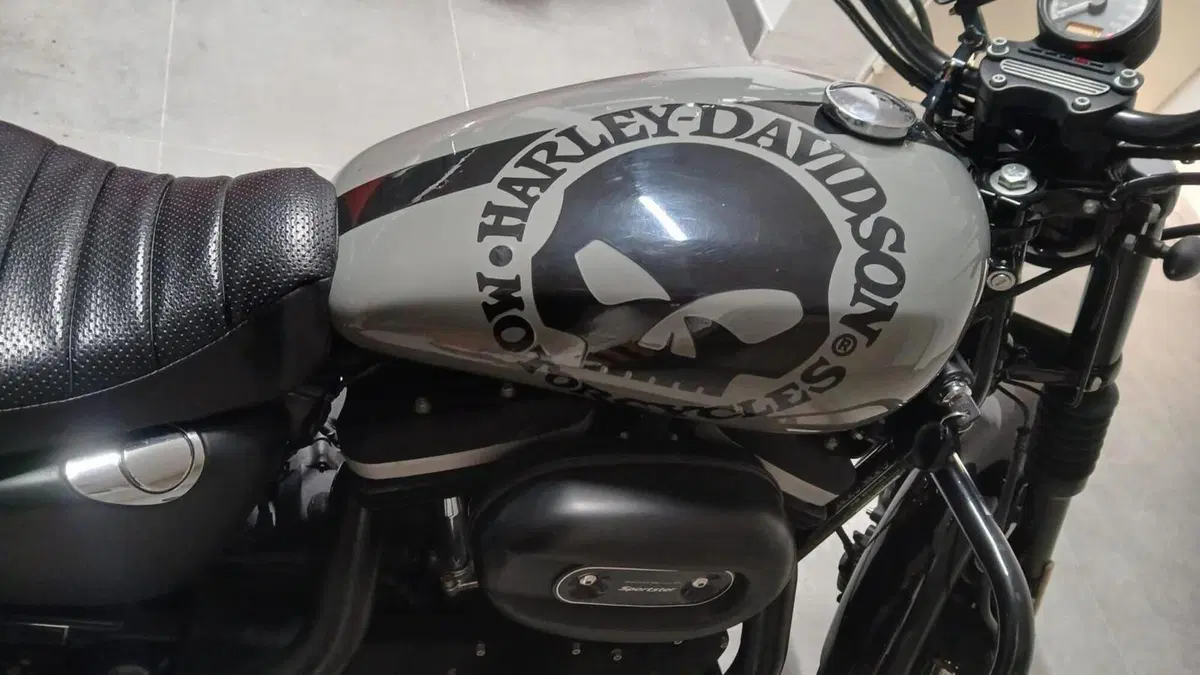 Harley-Davidson 883 Iron (2014 - 16) - XL 883N  (2)