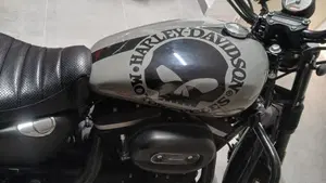 Harley-Davidson 883 Iron (2014 - 16) - XL 883N  (2)