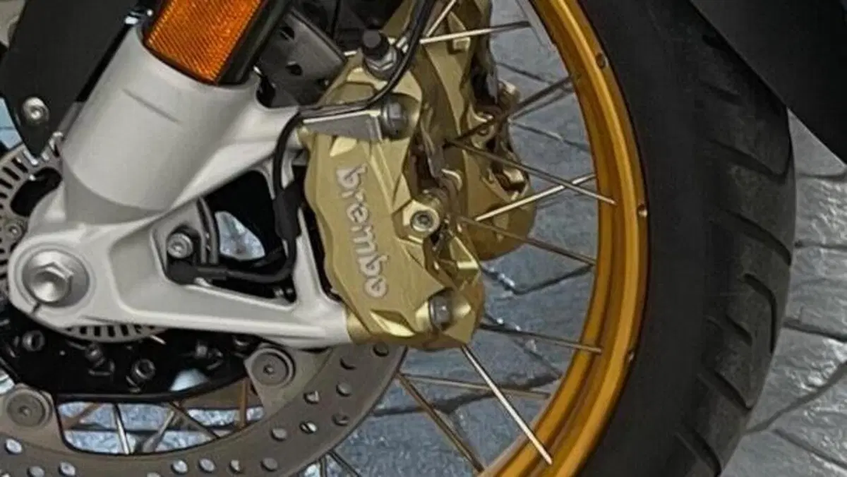 Bmw R 1250 GS Adventure (2019 - 20)  (5)