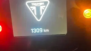 Triumph Speed Twin 900 (2025 - 26)  (4)