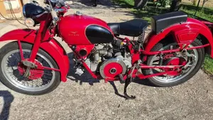Moto Guzzi   (8)
