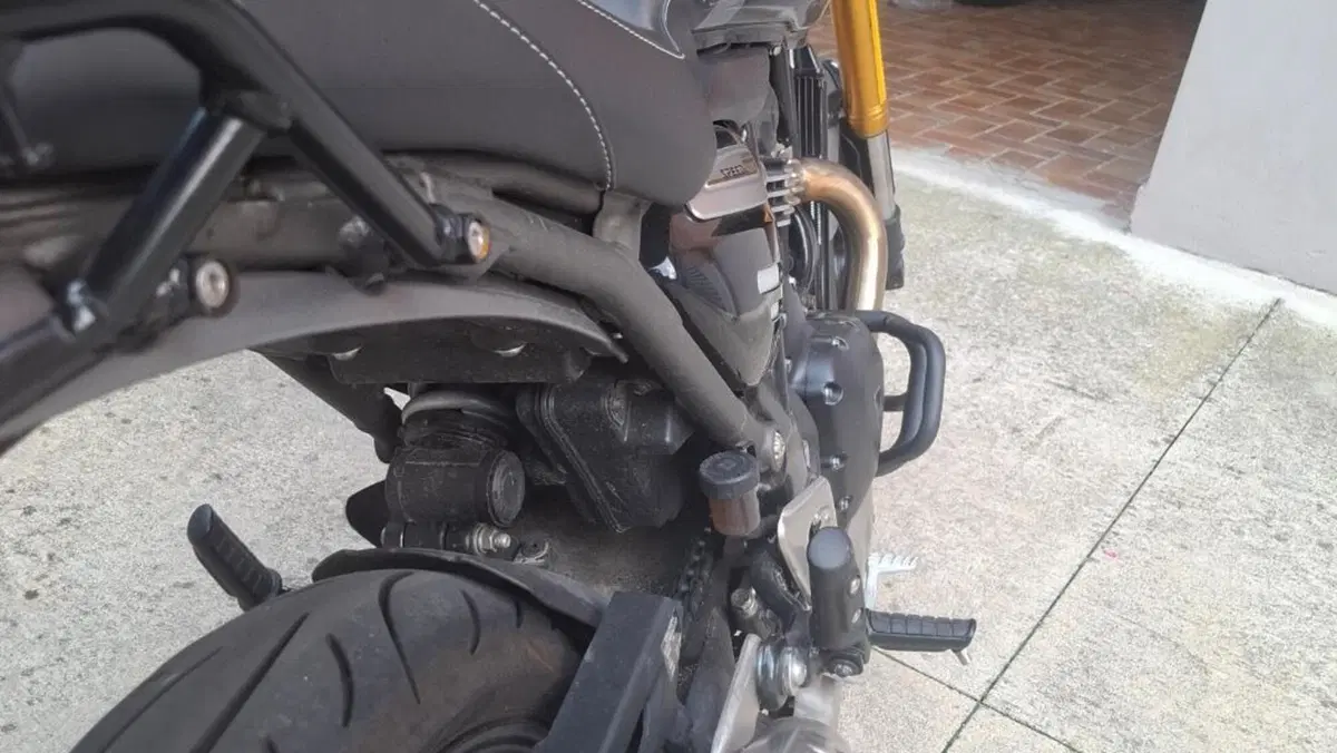 Triumph Speed 400 (2024 - 26)  (5)