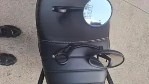 Triumph Speed 400 (2024 - 26)  (8)