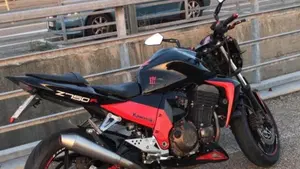 Kawasaki Z 750 (2003 - 06)  (4)