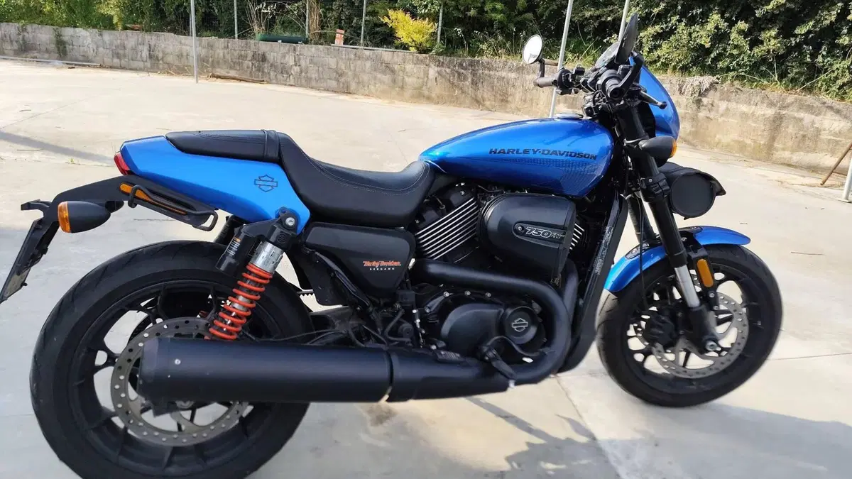 Harley-Davidson 750 Street Rod (2017 - 20) - XG 750  (6)
