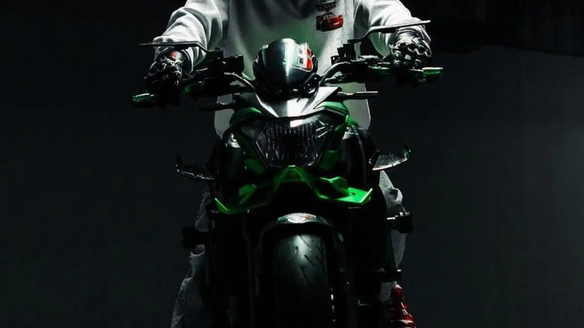 Kawasaki Z 650 (2017 - 19)  (2)