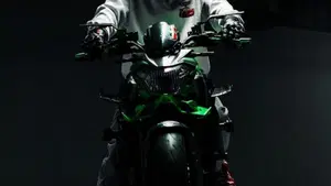 Kawasaki Z 650 (2017 - 19)  (2)