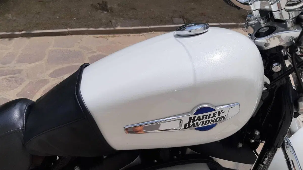 Harley-Davidson 1200 Custom CB (2013 - 17) - XL 1200CB  (4)