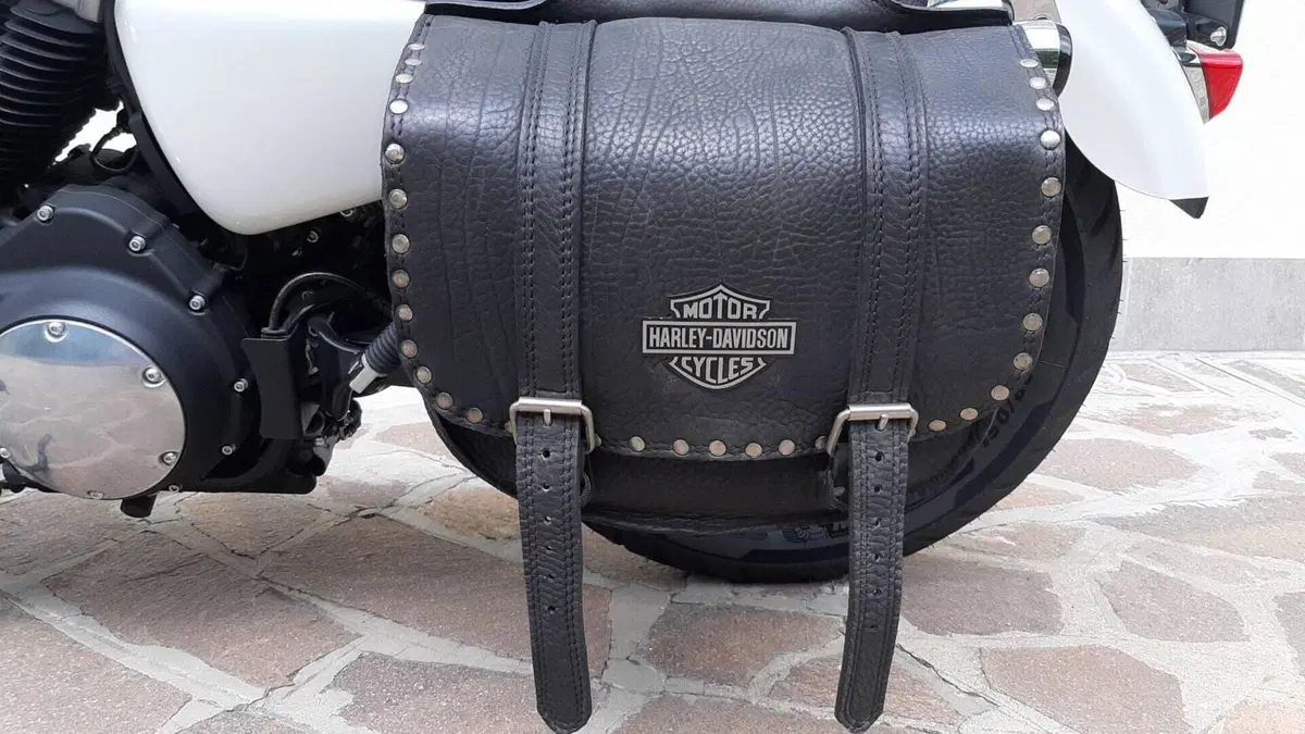 Harley-Davidson 1200 Custom CB (2013 - 17) - XL 1200CB  (6)