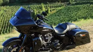 Harley-Davidson Road Glide Special (2021 - 23)  (9)