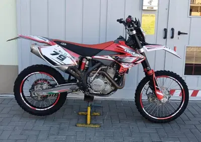 Betamotor RR 450 4T Enduro (2006) - Annuncio 10125577