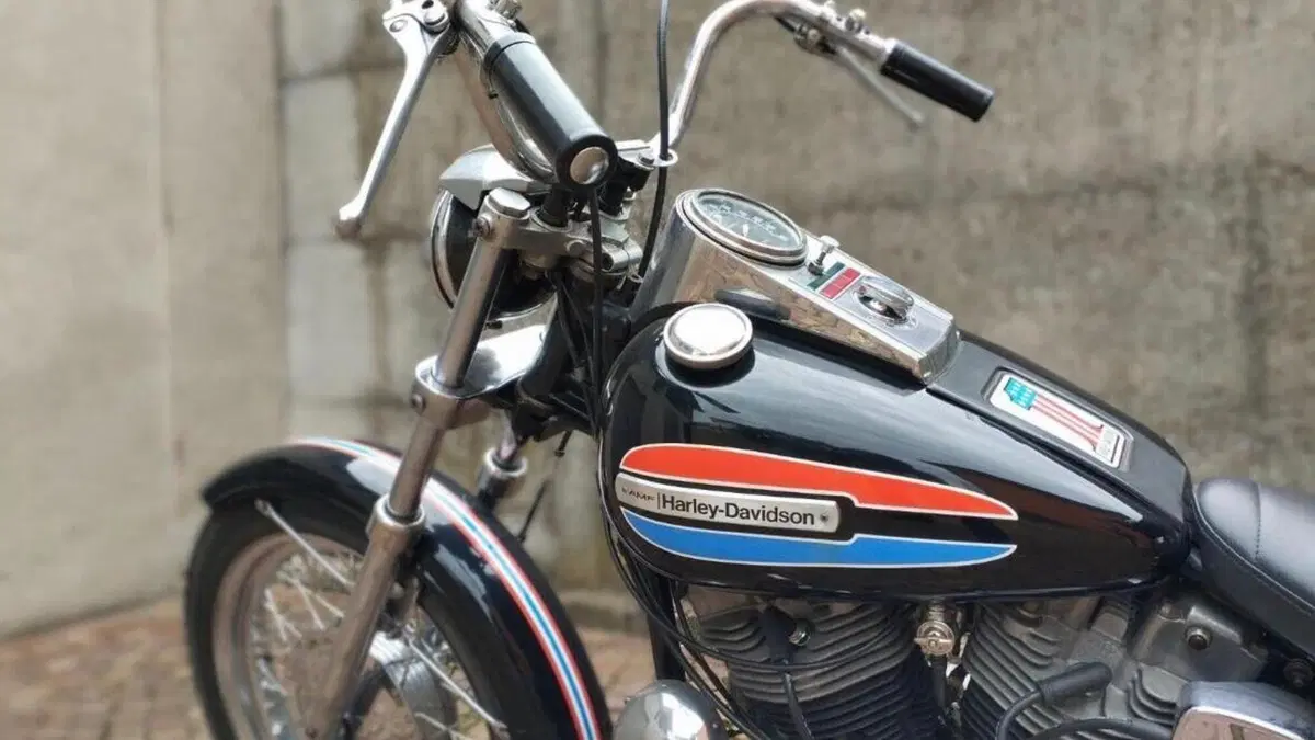 Harley-Davidson   (3)