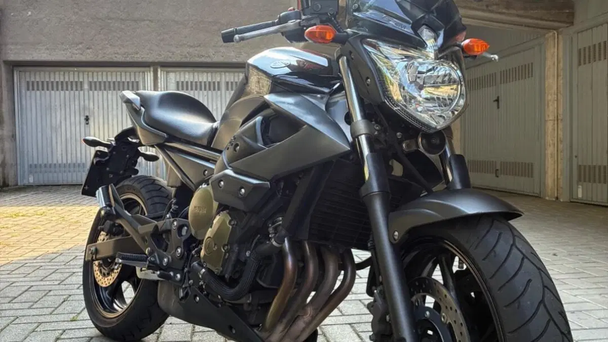 Yamaha XJ6 (2008 - 15)  (2)
