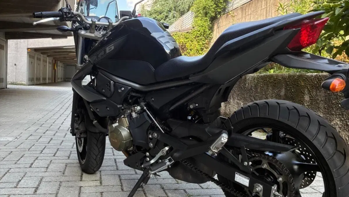 Yamaha XJ6 (2008 - 15)  (3)