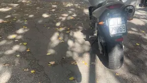 Honda Hornet 600 (2003 - 04)  (2)