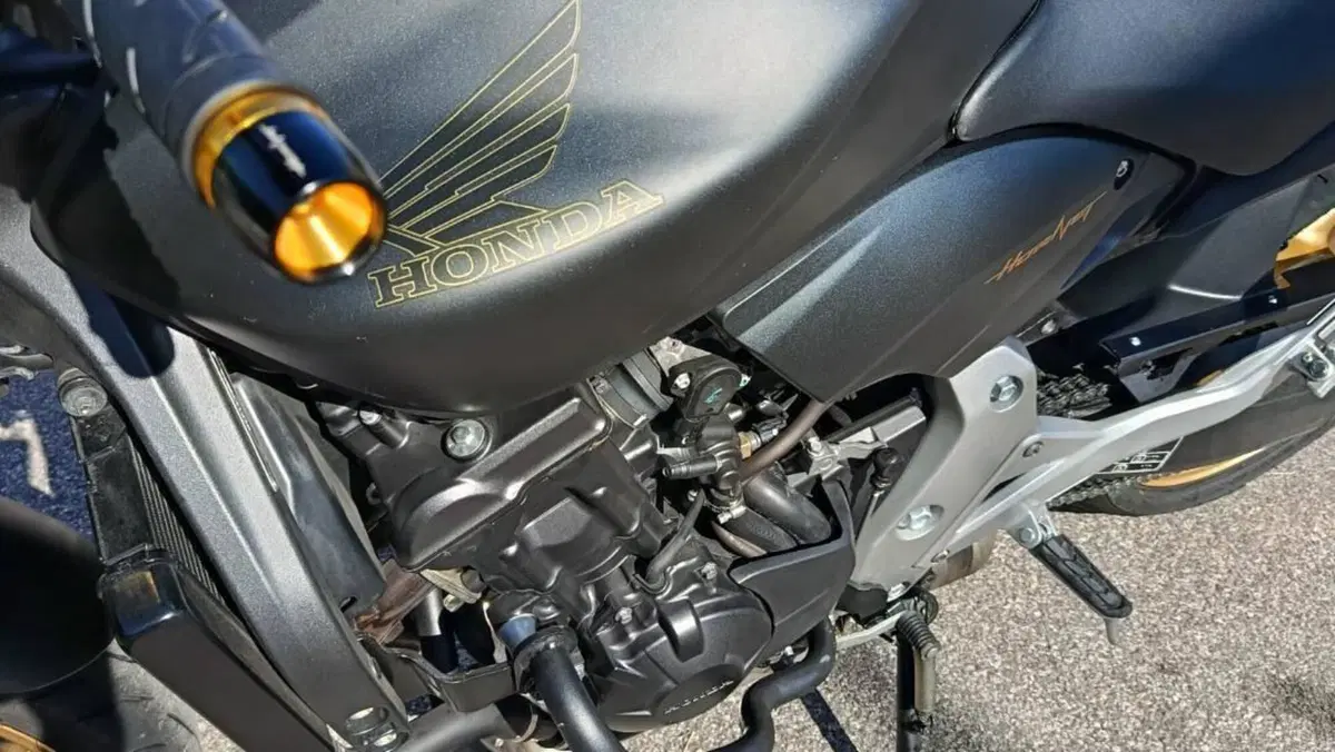 Honda Hornet 600 ABS (2011 - 13)  (7)