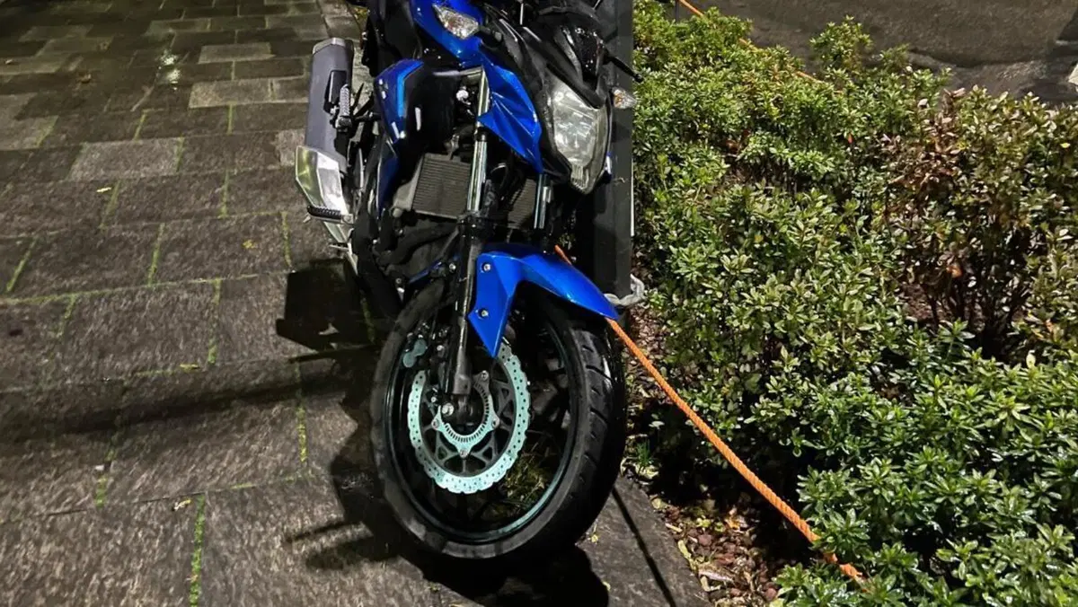 Kawasaki Z 125 (2019 - 20) 