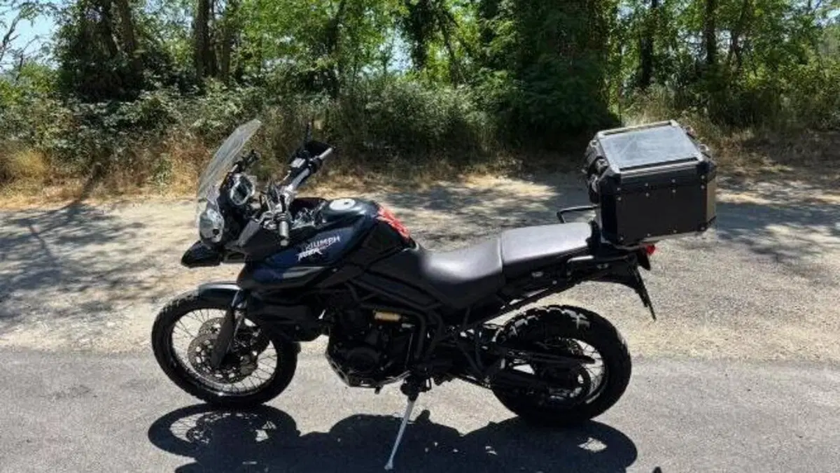 Triumph Tiger 800 XC (2011 - 12)  (7)