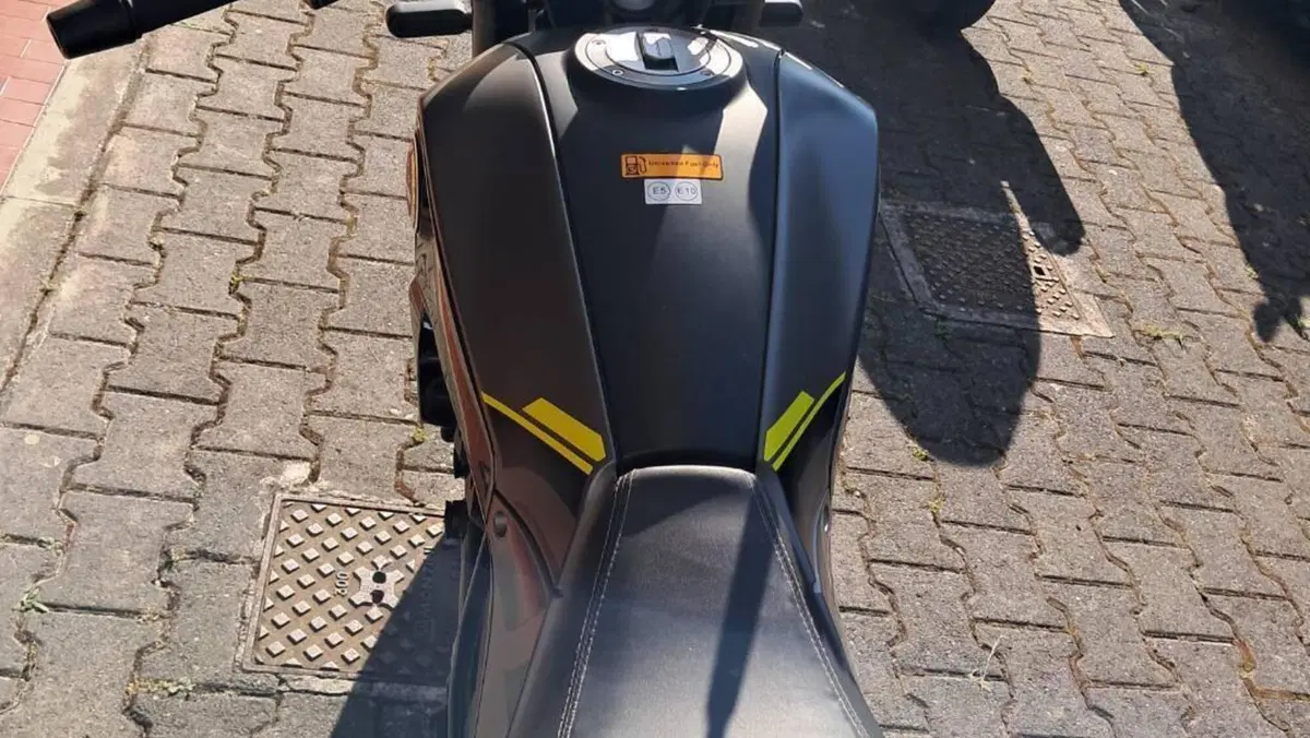Benelli Leoncino 250 (2021 - 25)  (2)