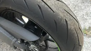 Kawasaki Ninja 636 ZX-6R Performance (2025 - 26)  (7)