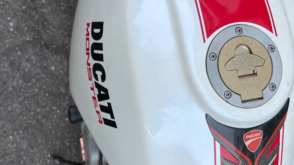 Ducati Monster 600 (1994 - 02)  (4)