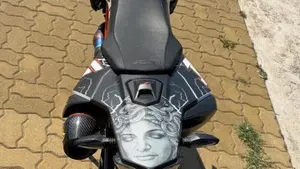 KTM 690 SMC R (2019 - 20)  (6)