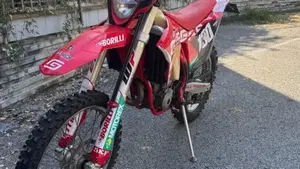 GASGAS EC 250 F (2021)  (2)