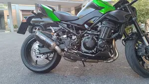 Kawasaki Z 900 (2025 - 26)  (8)