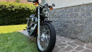 Harley-Davidson 883 (2008 - 09) - XL 