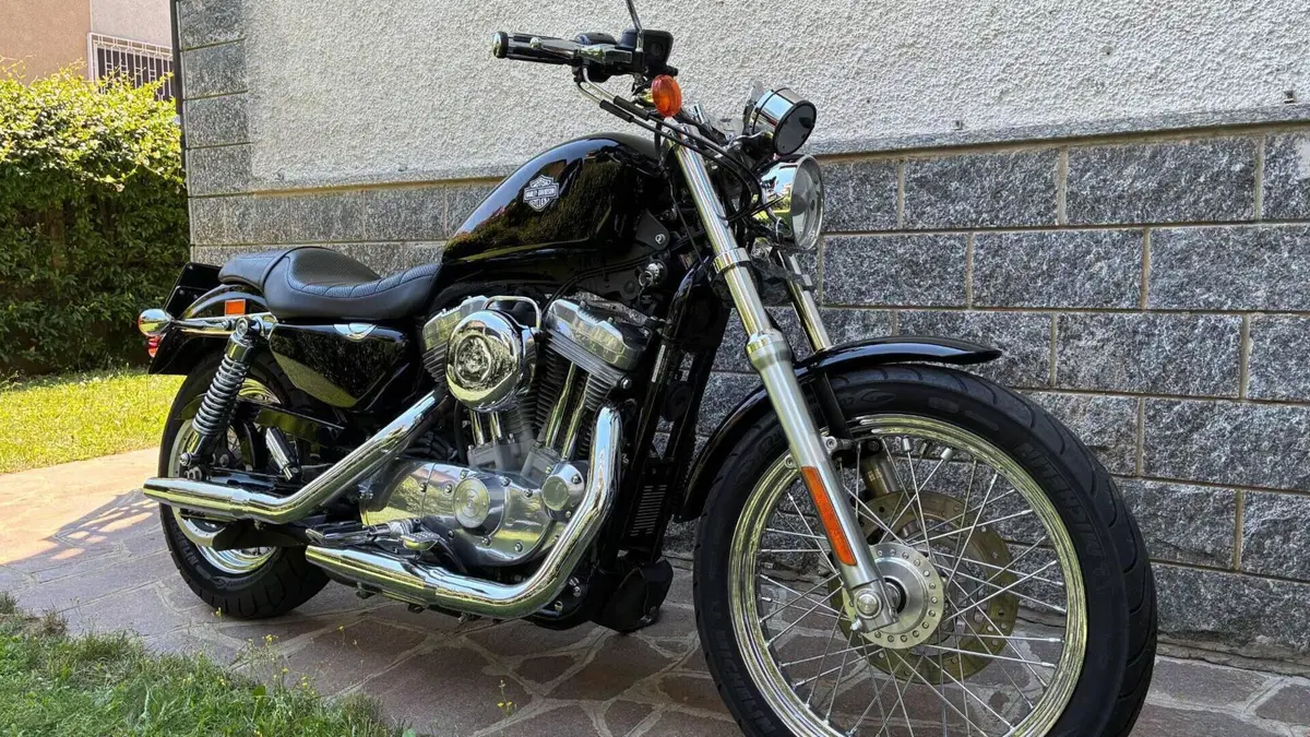 Harley-Davidson 883 (2008 - 09) - XL  (2)