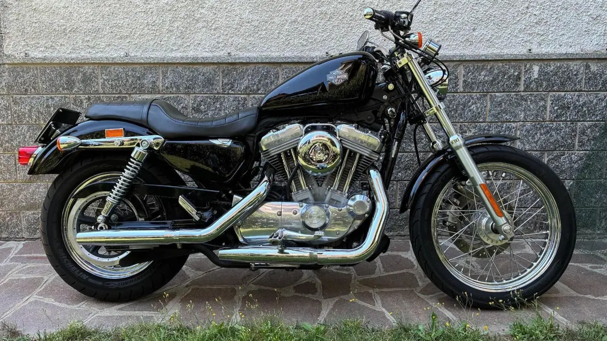 Harley-Davidson 883 (2008 - 09) - XL  (3)
