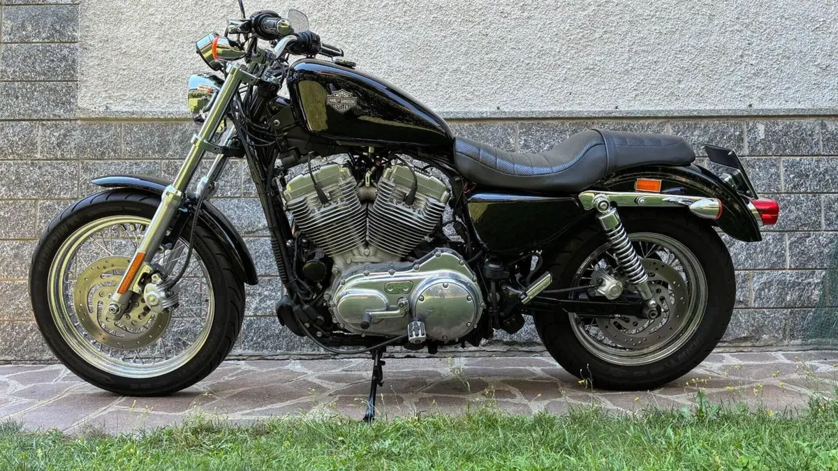 Harley-Davidson 883 (2008 - 09) - XL  (4)