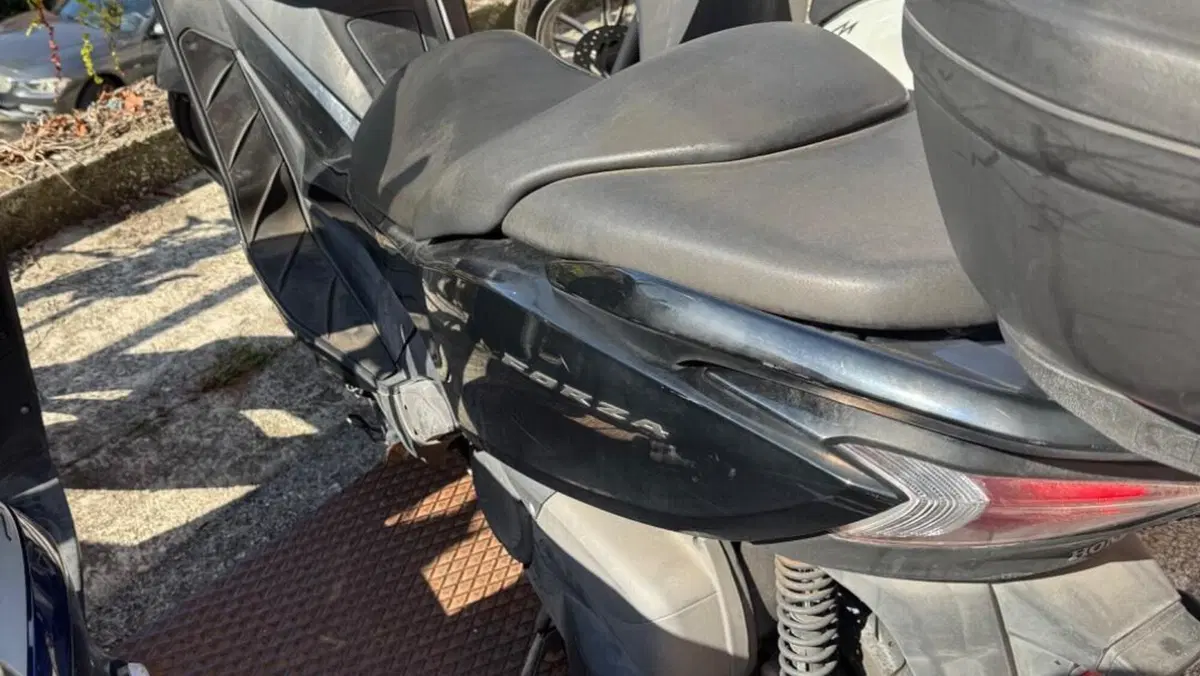 Honda Forza 300 ABS (2013 - 17)  (2)