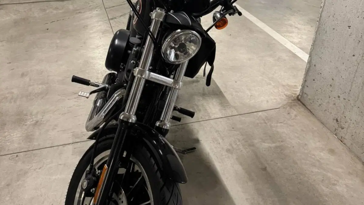 Harley-Davidson 883 R (2004 - 05) - XL 883R  (4)
