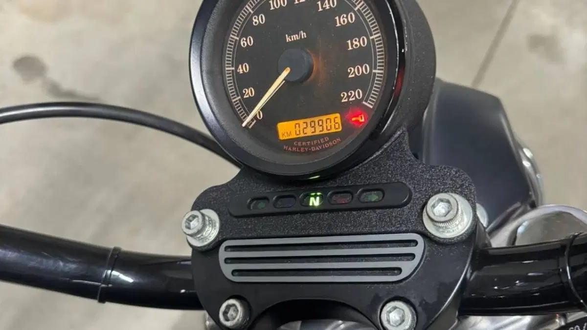 Harley-Davidson 883 R (2004 - 05) - XL 883R  (6)