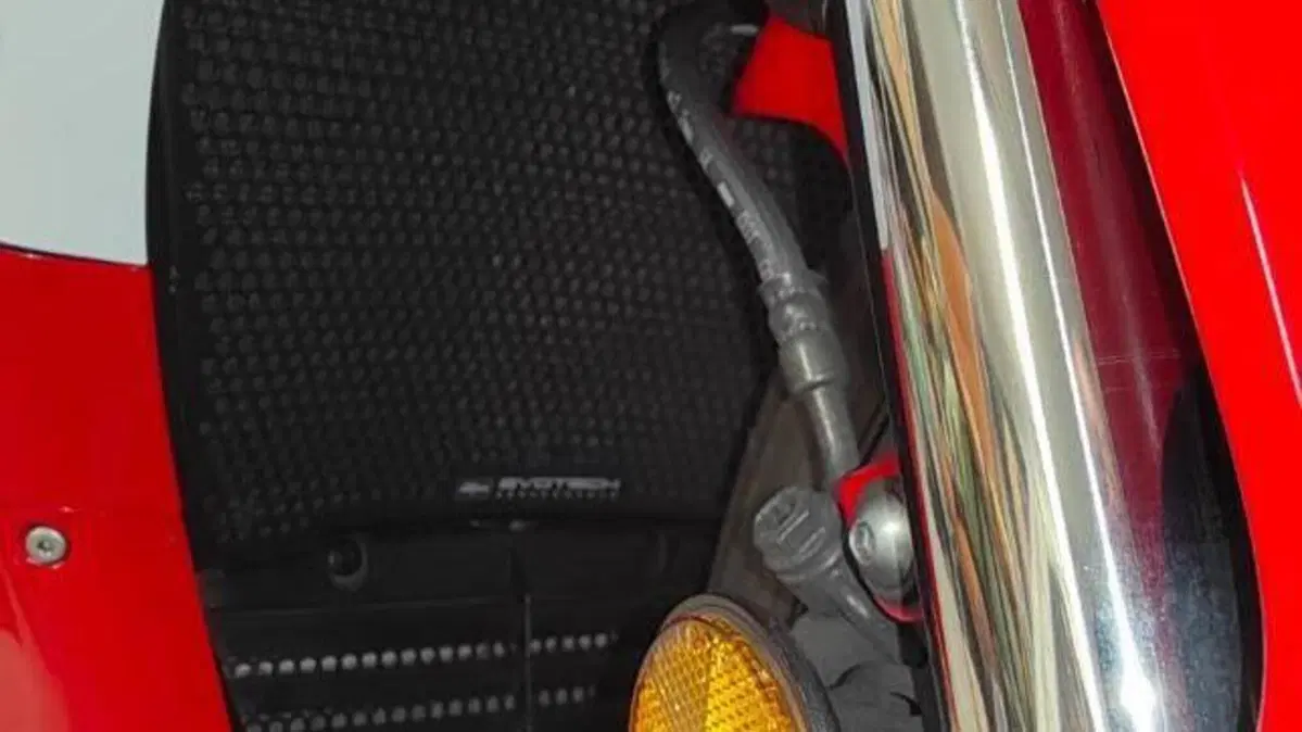 Honda CBR 1000 RR-R Fireblade (2020 - 21)  (4)