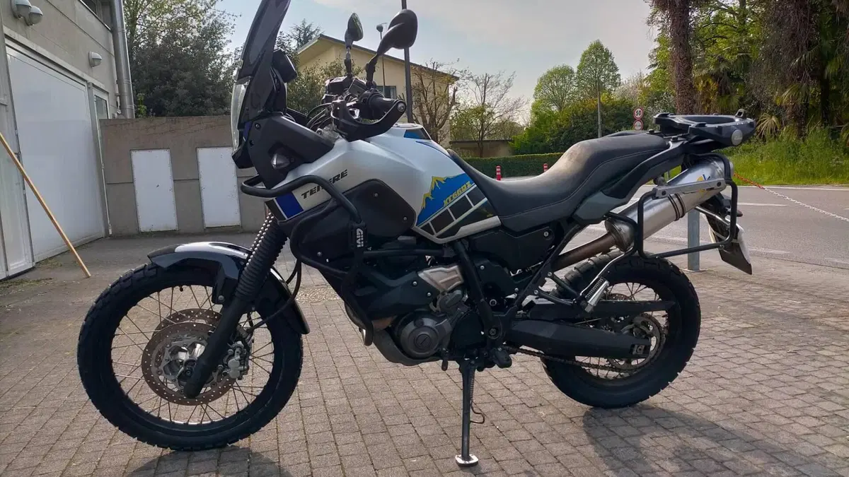 Yamaha XT 660 Z Ténéré ABS (2016)  (11)
