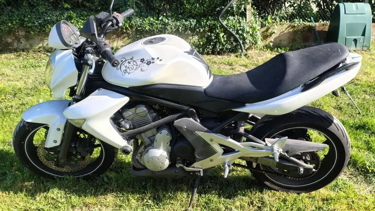 Kawasaki ER-6N (2005 - 08) 