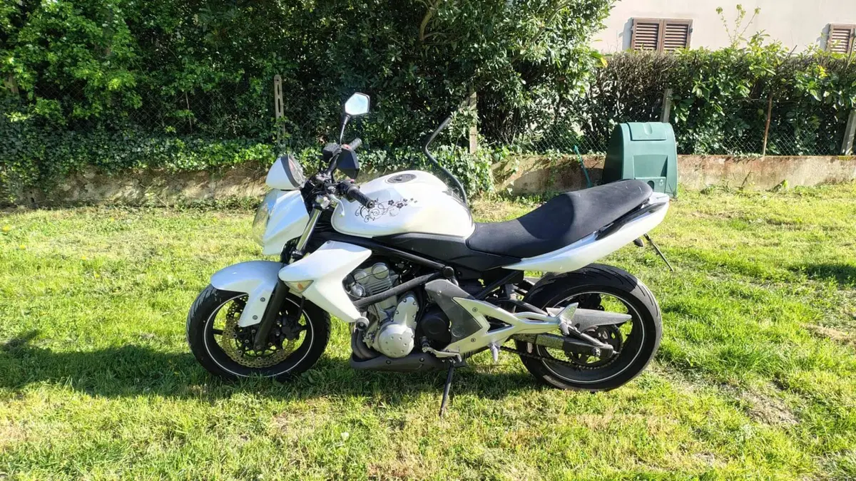 Kawasaki ER-6N (2005 - 08)  (3)